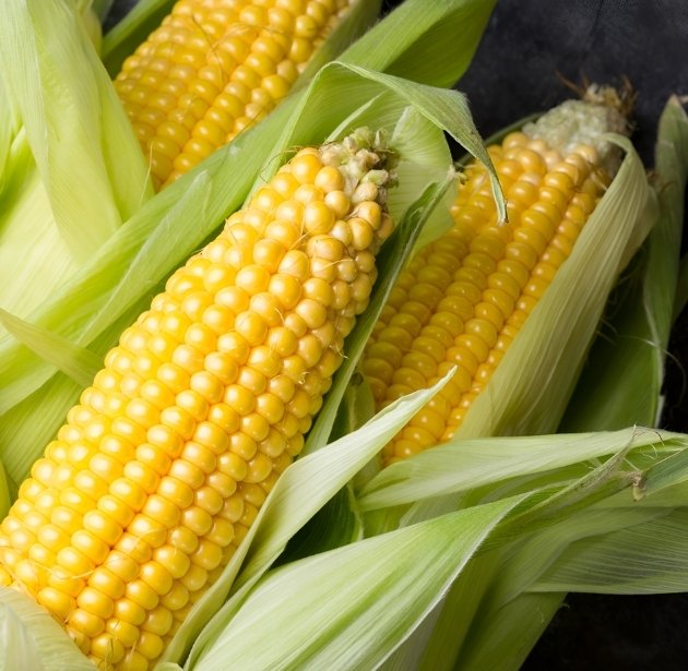 ThinkExim Export FAQ