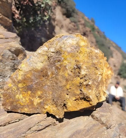 Georgian Hazelnuts Processing