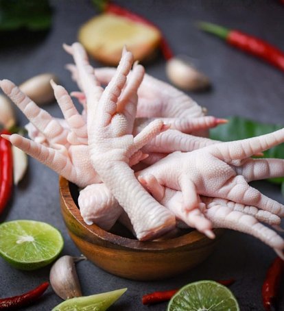 Chicken Feet Export