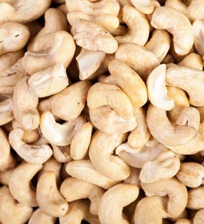 Processed Cashew Nut